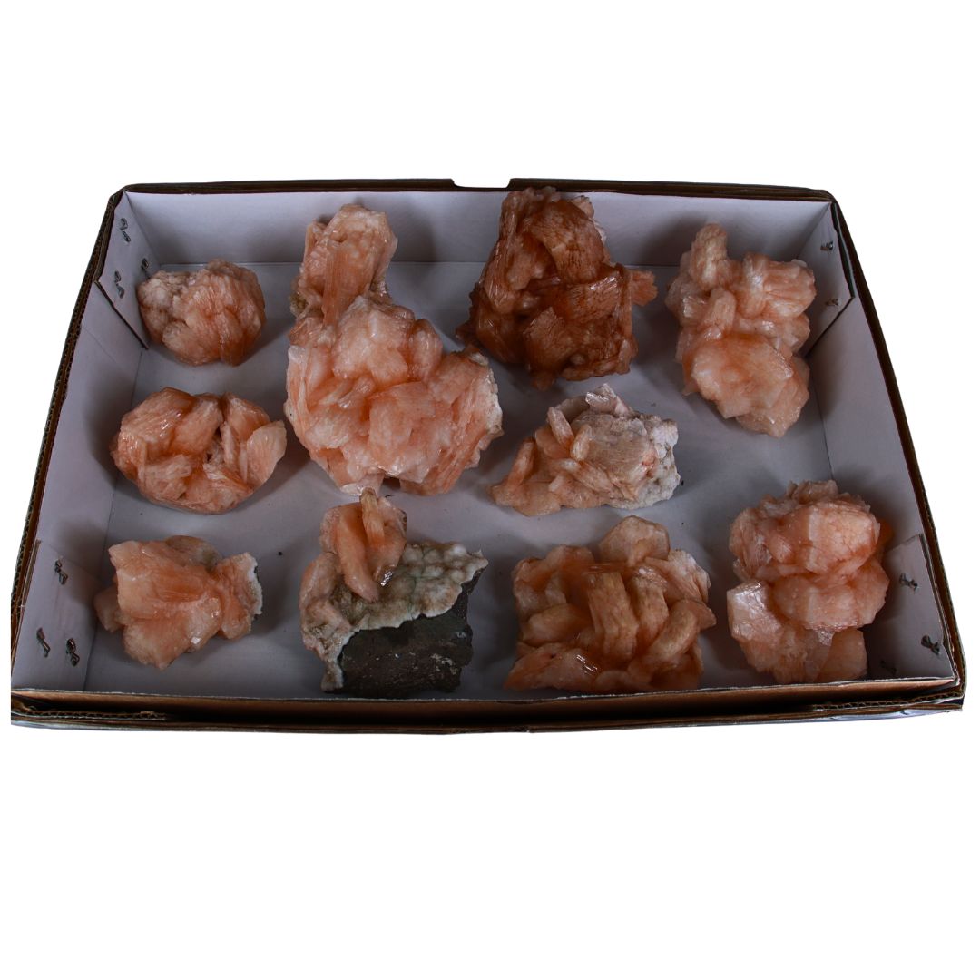 Natural Orange Stilbite with Heulandite Crystal Lot – 11 PCS – Mineral Specimens from India