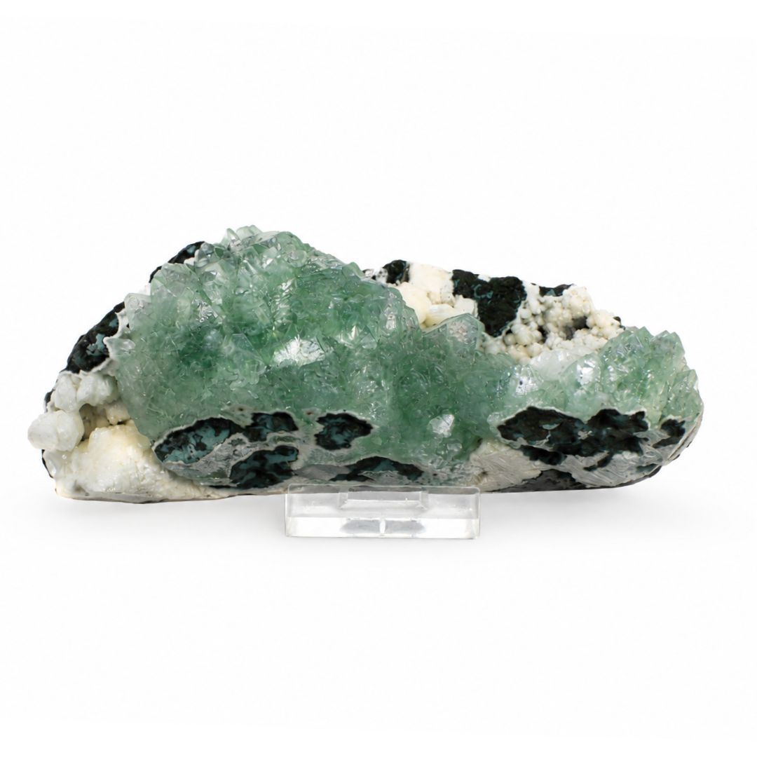 Green Apophyllite Crystalline Crust on Dark Rock Matrix | 390 g | 15 × 6 × 4 cm