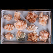 Natural Orange Stilbite with Heulandite Crystal Lot – 11 PCS – Mineral Specimens from India