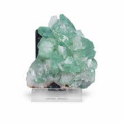 Natural Green Apophyllite Crystal Cluster Mineral Specimen India