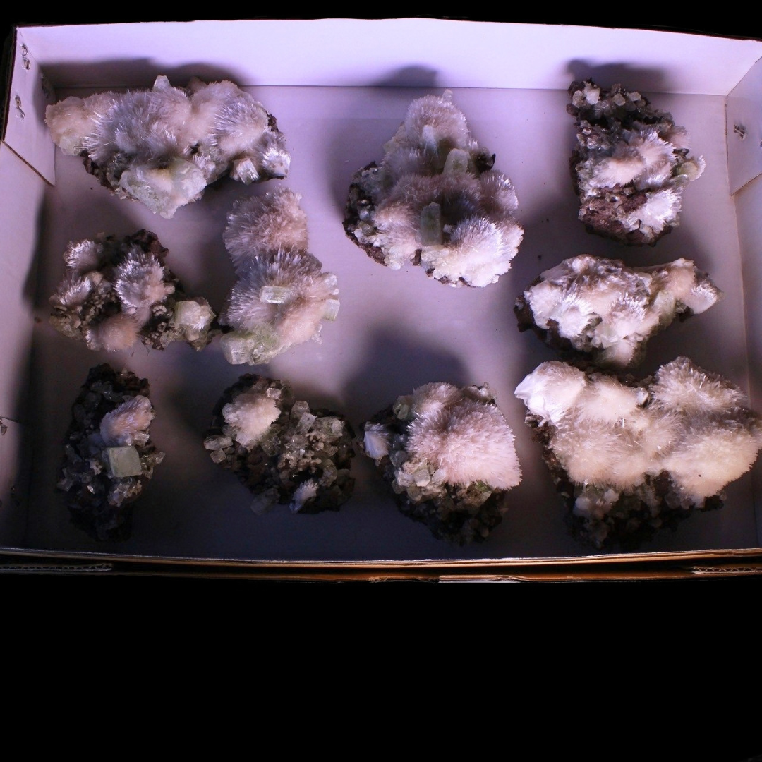Natural Green Apophyllite with Heulandite Matrix & Scolecite – 10 Pieces Lot  from India