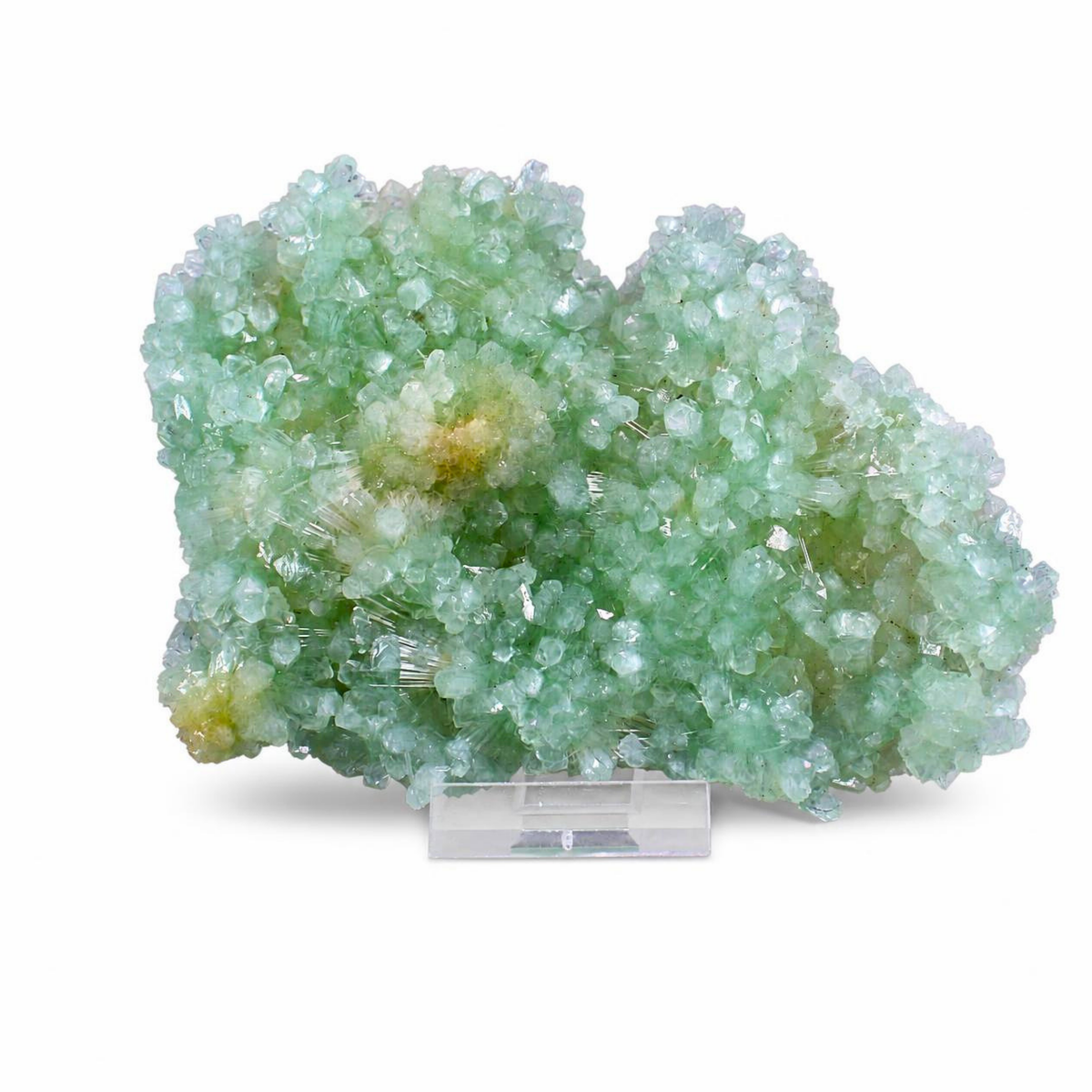 Natural Green Apophyllite Crystal Matrix Mineral Specimen from India 590 gm 16 × 11 × 5 cm