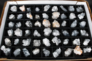 Apophyllite specimen — India.