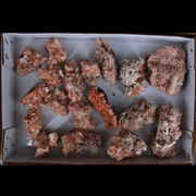 Natural Orange Stilbite Heulandite Crystal Lot – 18 Pieces from India