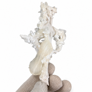 Natural Stilbite with Heulandite Crystal Cluster – 50 g