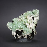 Green Tabular Apophyllite with Mordenite on Porous Rock Matrix | 260 g | 10 × 8 × 4 cm