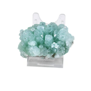 Natural Green Apophyllite Crystal Cluster Collector Quality Mineral 160g