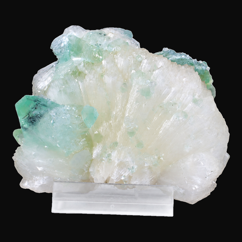 Natural Green Apophyllite on Heulandite crystal cluster on black background