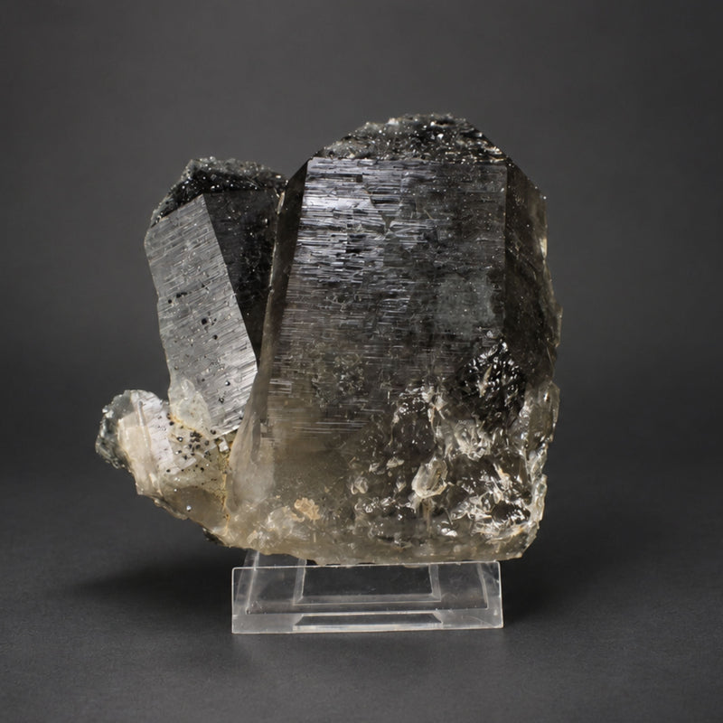 Smoky Quartz Prismatic Crystal Group | 890 g | 12 × 12 × 6 cm
