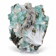 Natural Green Apophyllite with Scolecite Crystal Specimen – India