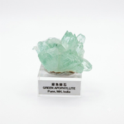 Natural Green Apophyllite Matrix – Mineral Specimen from India