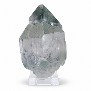 Natural Green Chlorite Himalayan Quartz Crystal – Mineral Specimen from India