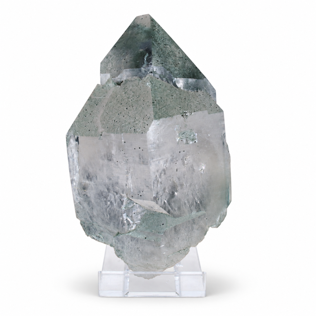Natural Green Chlorite Himalayan Quartz Crystal – Mineral Specimen from India
