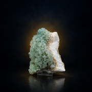 Natural Green Apophyllite Flowers on White Stilbite Matrix – 460 g