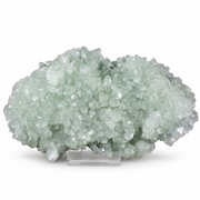 Natural Apophyllite Matrix Crystal Mineral Specimen – India