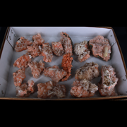 Natural Orange Stilbite Heulandite Crystal Lot – 18 Pieces from India