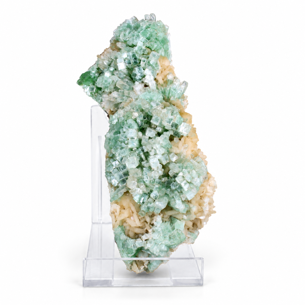Green Apophyllite with Stilbite – Natural Mineral Specimen