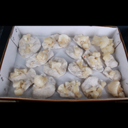 Natural Stilbite with Heulandite Crystal Lot – 16 PCS – Mineral Specimens from India