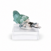Natural Green Apophyllite Crystal Matrix – Mineral Specimen from India