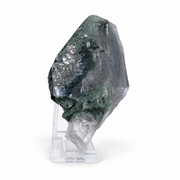 Natural Green Chlorite Himalayan Quartz Crystal – Mineral Specimen from India