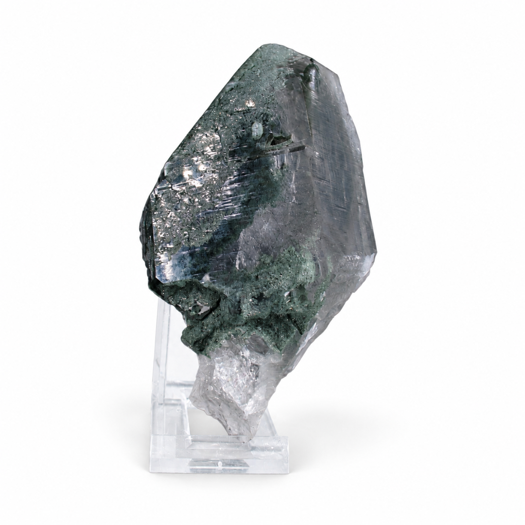 Natural Green Chlorite Himalayan Quartz Crystal – Mineral Specimen from India