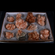 Natural Orange Stilbite with Heulandite Crystal Lot – 11 PCS – Mineral Specimens from India