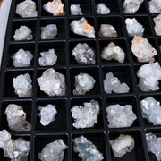 Apophyllite specimen — India.