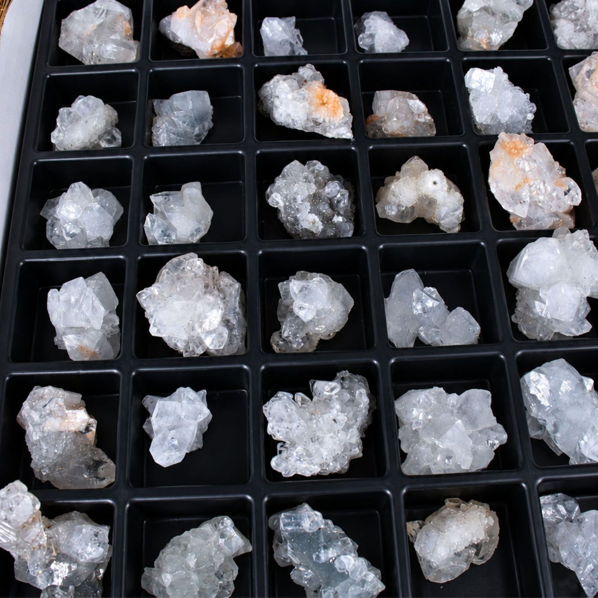 Apophyllite specimen — India.