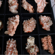 Natural Orange Stilbite with Heulandite Crystal Lot – 18 PCS – Mineral Specimens from India