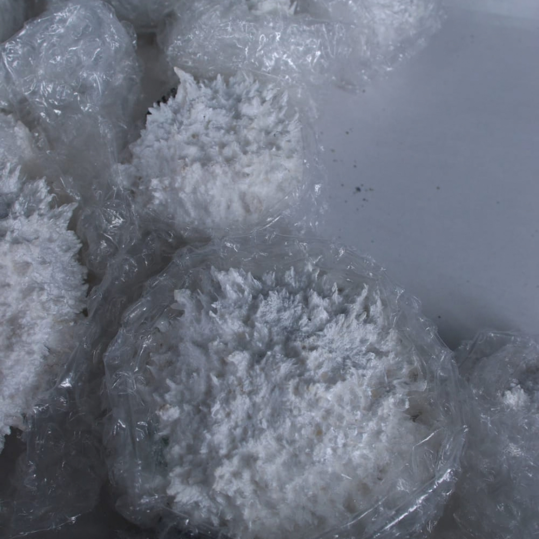 Natural Green Apophyllite with Mordenite Crystal Lot – 8 Pieces from India