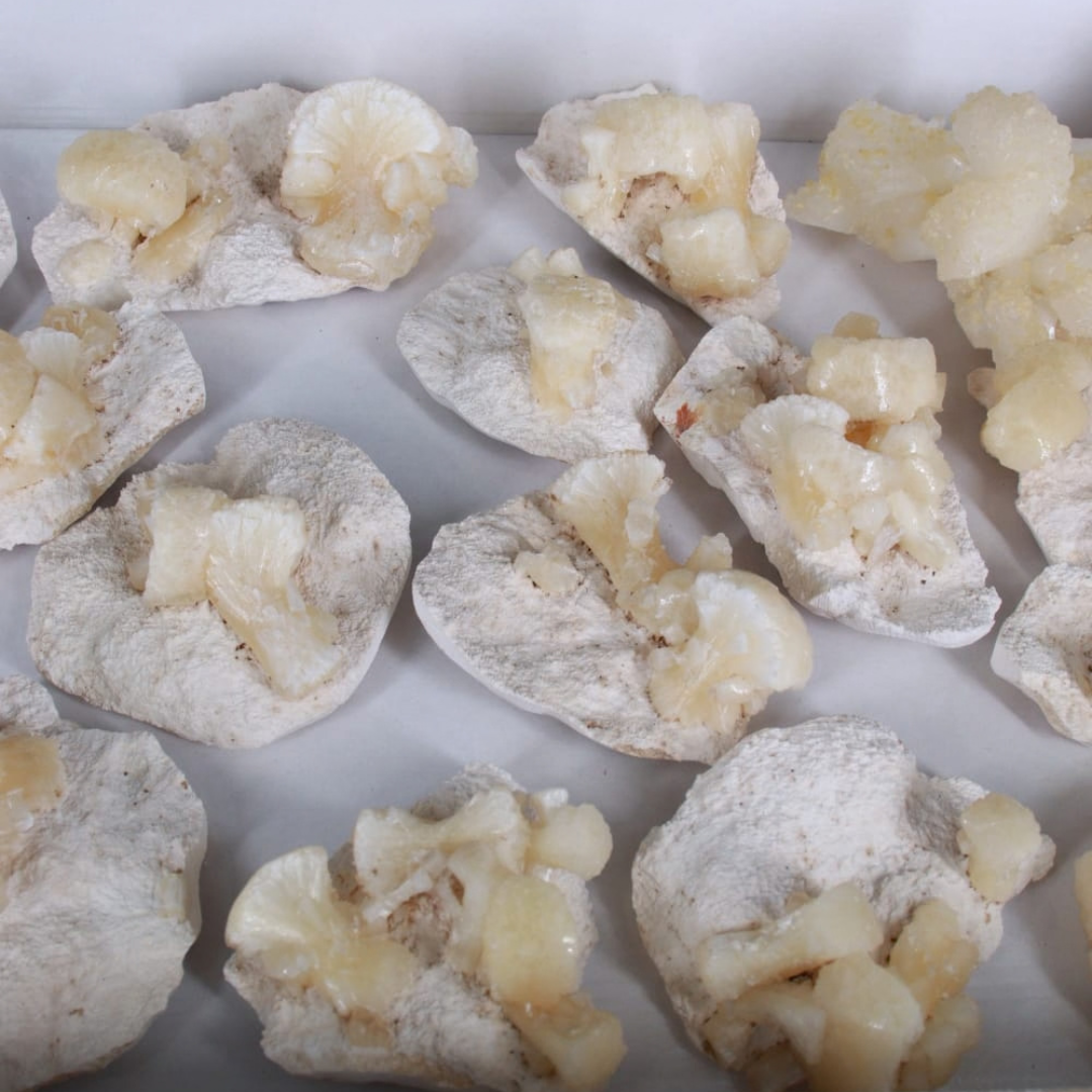 Natural Stilbite with Heulandite Crystal Lot – 16 PCS – Mineral Specimens from India