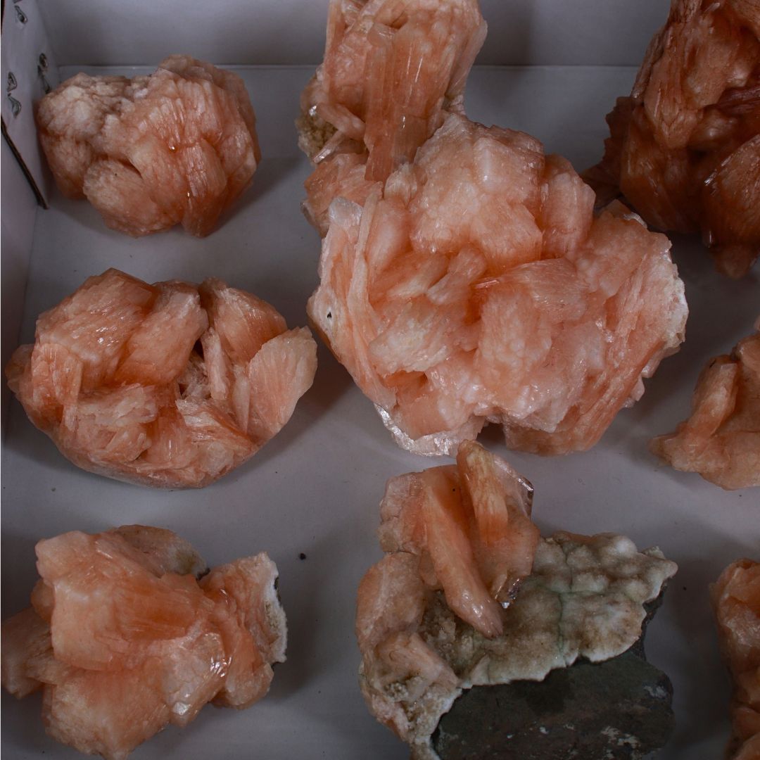 Natural Orange Stilbite with Heulandite Crystal Lot – 11 PCS – Mineral Specimens from India