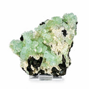 Green Tabular Apophyllite with Mordenite on Porous Rock Matrix | 260 g | 10 × 8 × 4 cm