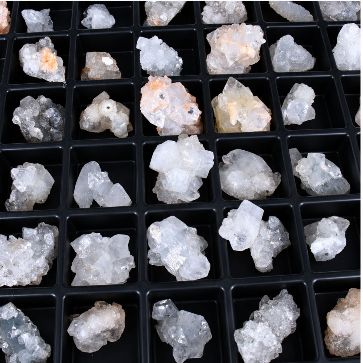 Apophyllite specimen — India.