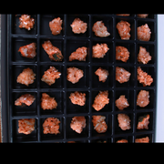 Natural Orange Stilbite with Heulandite Crystal Lot – 54 PCS – Mineral Specimens from India