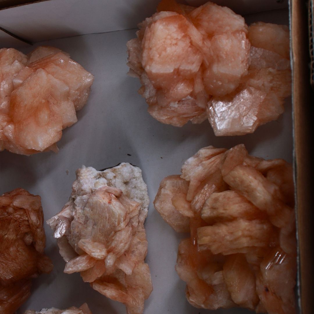Natural Orange Stilbite with Heulandite Crystal Lot – 11 PCS – Mineral Specimens from India