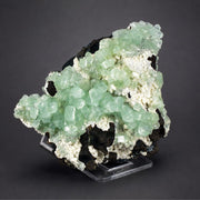 Green Tabular Apophyllite with Mordenite on Porous Rock Matrix | 260 g | 10 × 8 × 4 cm