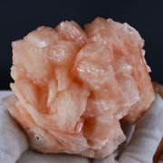 Natural Orange Stilbite with Heulandite Crystal Lot – 11 PCS – Mineral Specimens from India