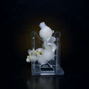 Okenite &amp; Heulandite Natural Crystal Specimen | Premium Mineral Collection 40g 7 × 5 × 3 cm