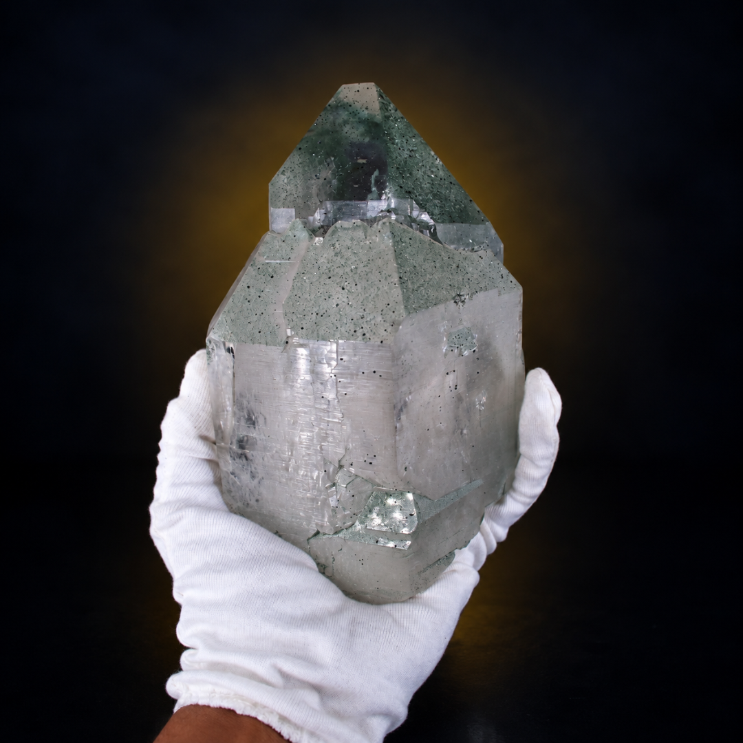 Natural Green Chlorite Himalayan Quartz Crystal – Mineral Specimen from India