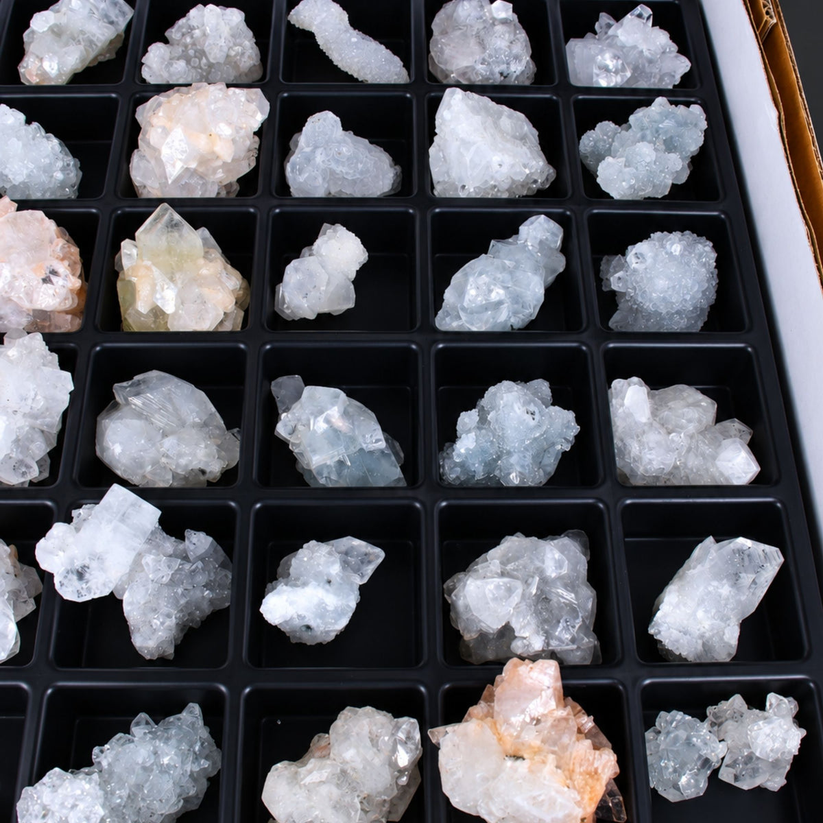 Apophyllite specimen — India.