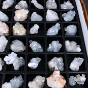 Apophyllite specimen — India.