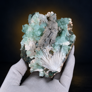 Natural Green Apophyllite with Scolecite Crystal Specimen – India