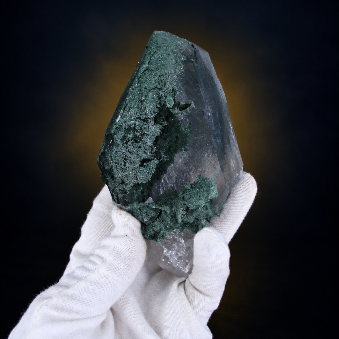 Natural Green Chlorite Himalayan Quartz Crystal – Mineral Specimen from India