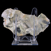 Natural Himalayan Quartz Mineral Specimen  17 × 10 × 5 cm 640 g