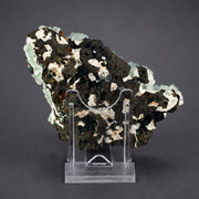 Green Tabular Apophyllite with Mordenite on Porous Rock Matrix | 260 g | 10 × 8 × 4 cm