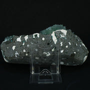 Green Apophyllite Crystalline Crust on Dark Rock Matrix | 390 g | 15 × 6 × 4 cm