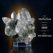 Natural Green Chlorite Himalayan Quartz Crystal – Mineral Specimen from India