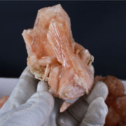 Natural Orange Stilbite with Heulandite Crystal Lot – 11 PCS – Mineral Specimens from India