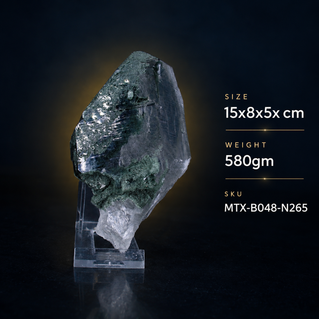 Natural Green Chlorite Himalayan Quartz Crystal – Mineral Specimen from India